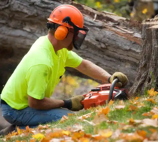 tree services Round Hill Village